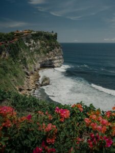 a cliff overlooking the ocean with flowers in the foreground